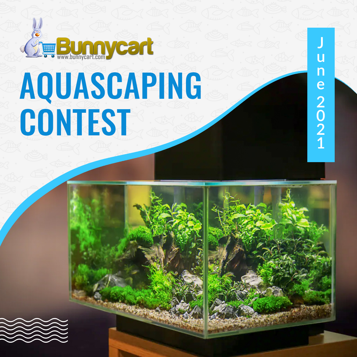 Bunnycart Aquascaping Contest June 2021